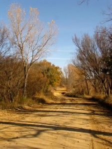 Slide-52a
